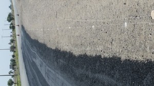 IMG_0002