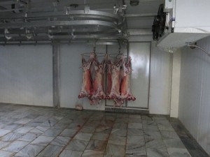 IMG_0024