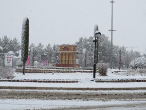 IMG_0062
