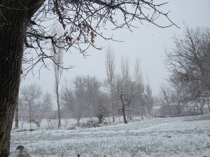 IMG_0068 - Copy