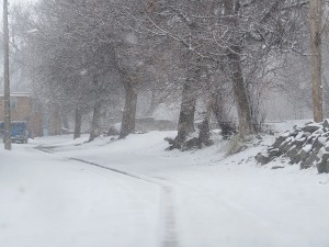 IMG_0075 - Copy