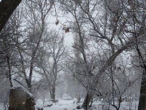 IMG_0079