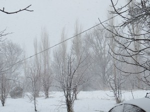 IMG_0085