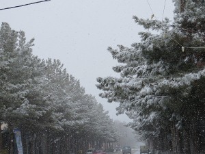 IMG_0090