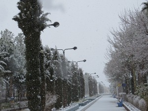 IMG_0091