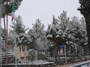 IMG_0093