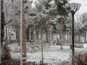 IMG_0096