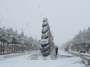 IMG_0099