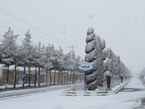 IMG_0100