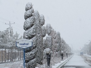 IMG_0101