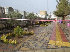 IMG_0539