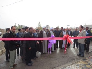 IMG_0550