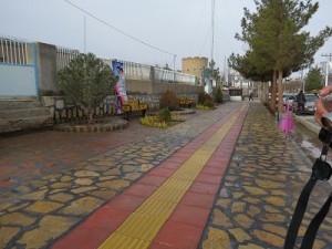 IMG_0551