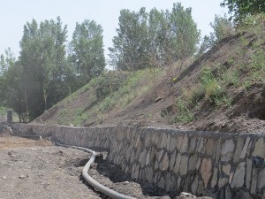 IMG_0911
