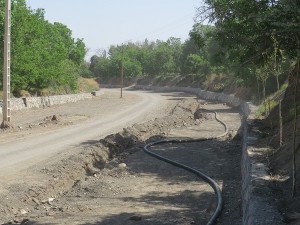 IMG_0939