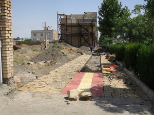 IMG_0981