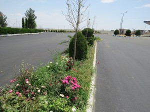 IMG_1116
