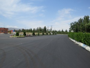 IMG_1123