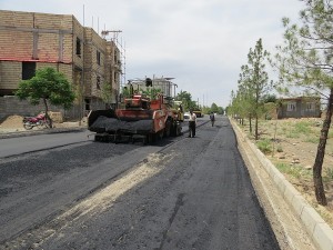 IMG_1125