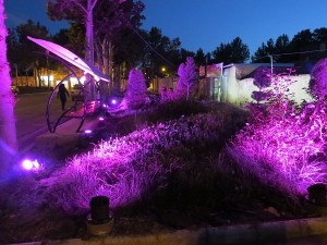 IMG_1306 - Copy