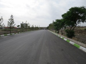 IMG_1315