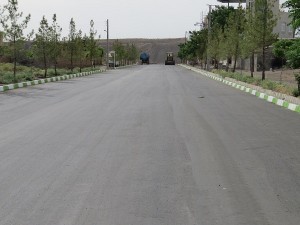 IMG_1322