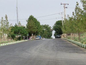IMG_1325