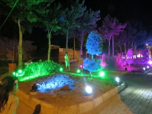 IMG_1469 - Copy