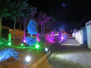 IMG_1470 - Copy