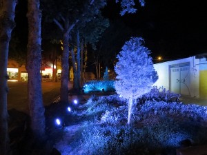 IMG_1475 - Copy