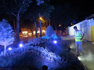 IMG_1476 - Copy