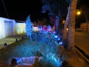IMG_1479 - Copy