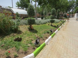 IMG_1493
