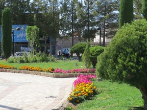 IMG_1874