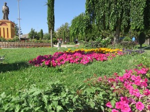 IMG_1877