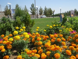 IMG_1905