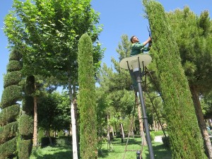 IMG_1916