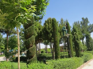 IMG_1917