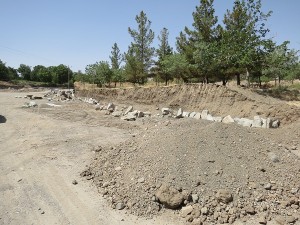 IMG_1951