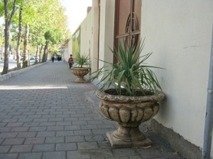IMG_4767