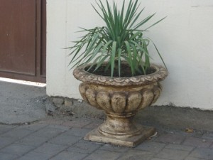 IMG_4768