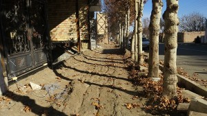 IMG_5667