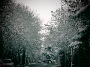 IMG_6410