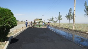 IMG_6570