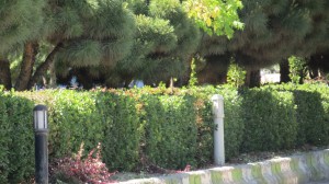 IMG_6798