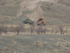 Picture 013