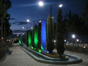 Picture 027