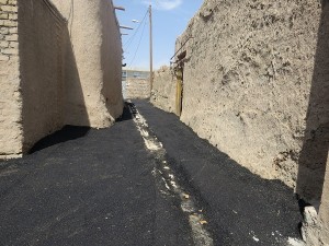 شاهد