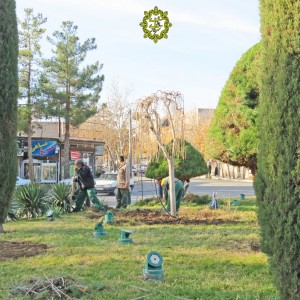 فضای سبز