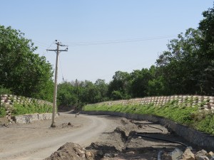 گلفوژ باغراه